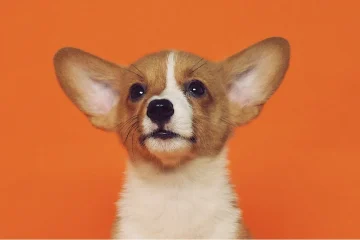 نوشته 3