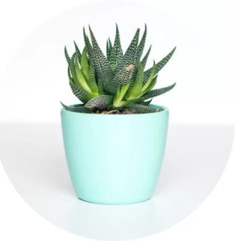 مشاهده همه آگهی ها